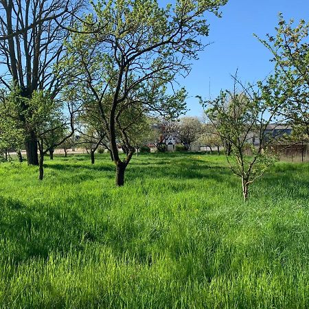 Appartement Dans Maison Avec Cour Et Parc Fresnes-en-Woevre Zewnętrze zdjęcie